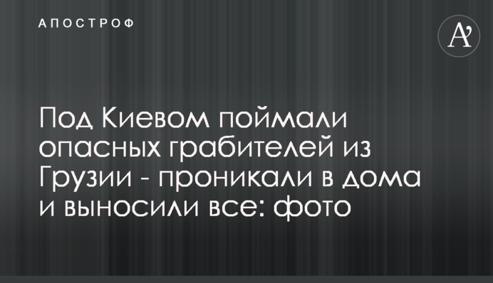 Под Киевом поймали опасных грабителей из Грузии - проникали в дома и выносили все: фото