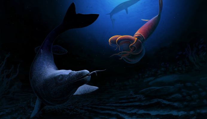 В Марокко нашли останки вымершего морского чудовища: как оно выглядело