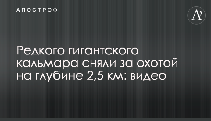 ​Редкого гигантского кальмара сняли за охотой на глубине 2,5 км: видео