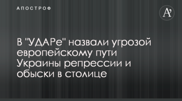 В "УДАРе" назвали угрозой европейскому пути Украины репрессии и обыски в столице