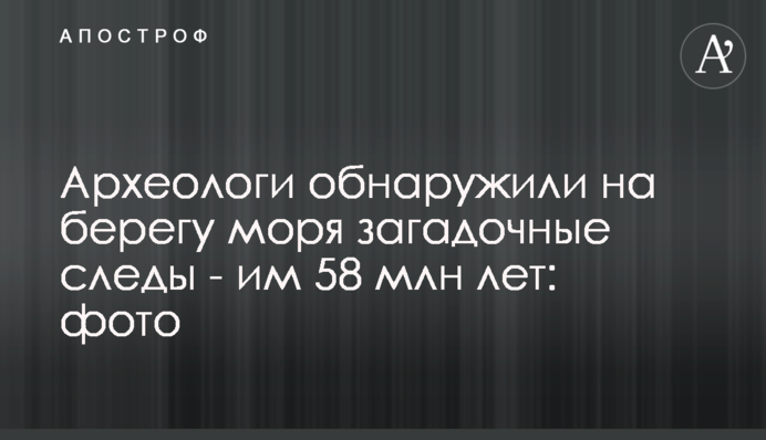 Археологи обнаружили на берегу моря загадочные следы - им 58 млн лет: фото