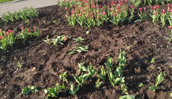 Ми живемо серед варварів і дикунів: в мережі показали сумні фото з Києва