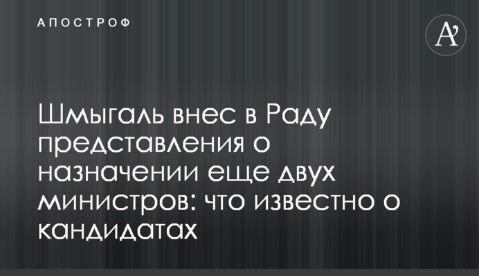 ​Шмыгаль внес в Раду представления о назначении еще двух министров: что известно о кандидатах