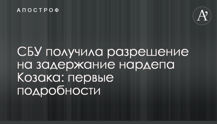 СБУ отримала дозвіл на затримання нардепа Козака: перші подробиці