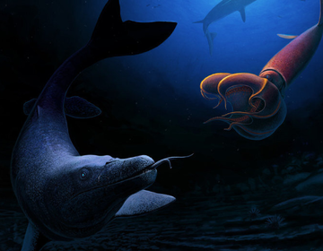 Знайдено останки вимерлої морської ящірки - з великими щелепами і 10 метрів в довжину: фото