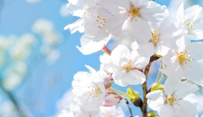 В Україну йде спека з дощами: синоптики дали прогноз до кінця тижня