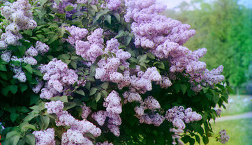 До чого українцям готується на вихідні: синоптик дала свіжий прогноз