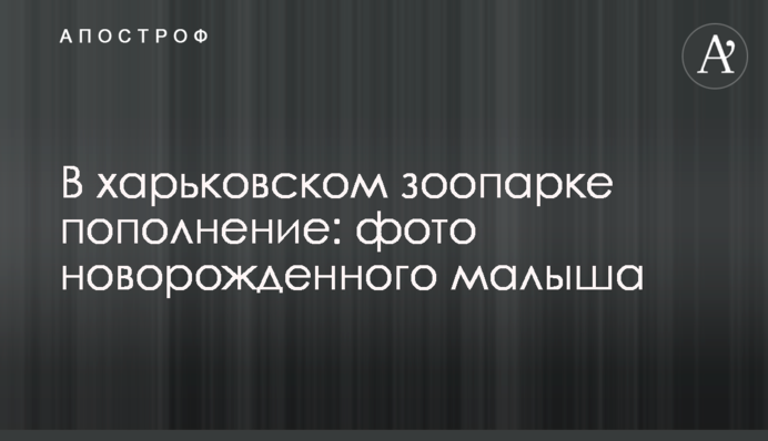 У харківському зоопарку поповнення: новонародженого малюка показали на фото