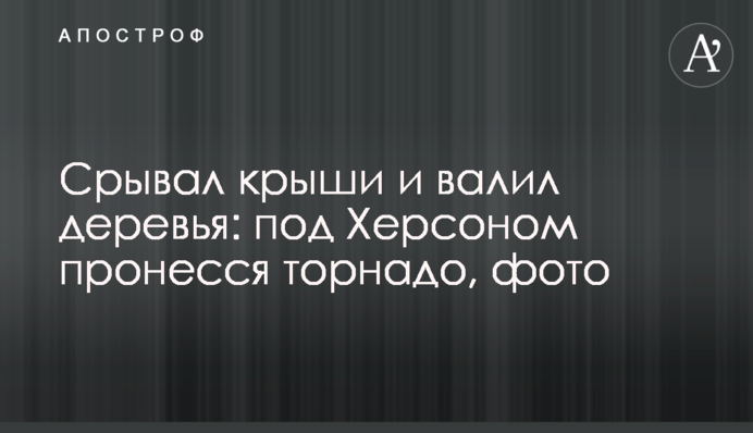 Срывал крыши и валил деревья: под Херсоном пронесся торнадо, фото