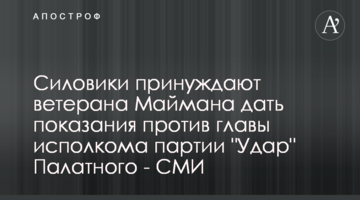 Силовики принуждают ветерана Маймана дать показания против главы исполкома партии "Удар" Палатного - СМИ