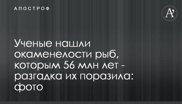 Вчені знайшли скам'янілості риб, яким 56 млн років - розгадка їх вразила: фото