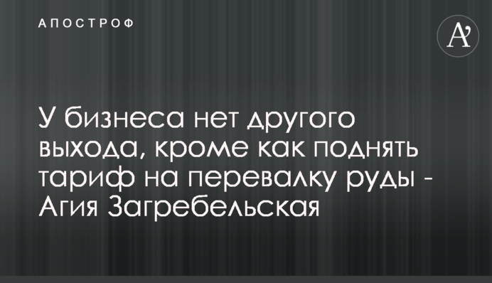 У бізнеса немає іншого виходу, крім як підняти тариф на перевалку руди - Агія Загребельська