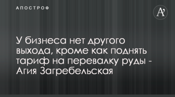 У бізнеса немає іншого виходу, крім як підняти тариф на перевалку руди - Агія Загребельська