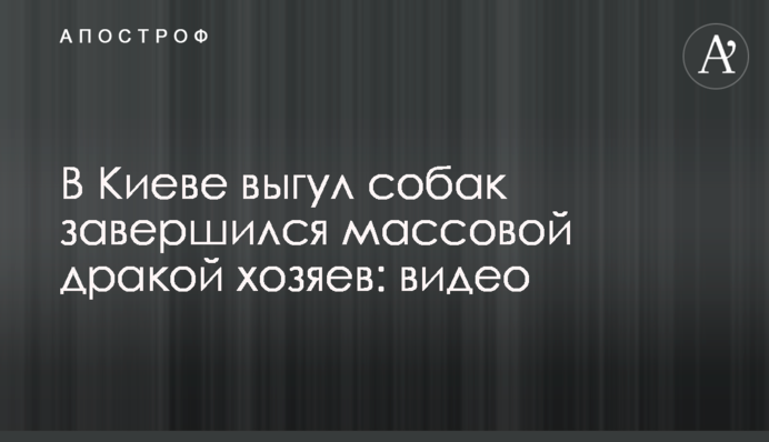 В Киеве выгул собак завершился массовой дракой хозяев: видео
