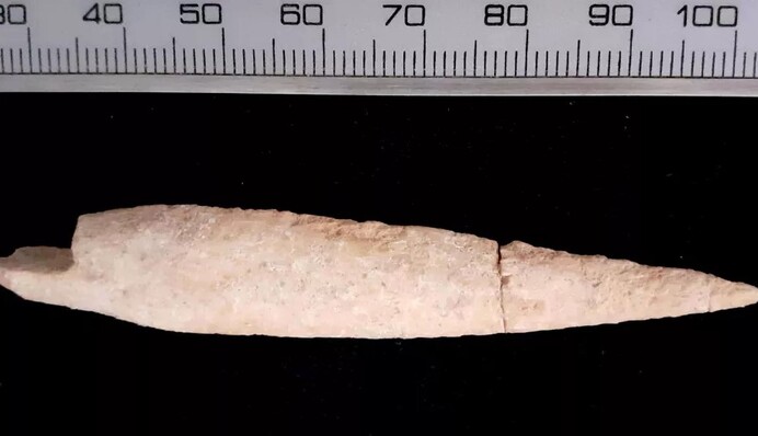 Археологи виявили наконечник стріли з біблійної битви - йому тисячі років: фото