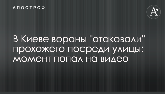 В Киеве вороны 