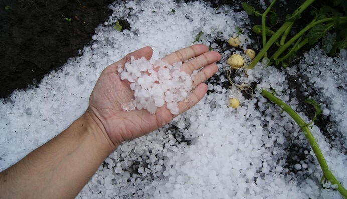 Затопленный рынок и проблемы для урожая: Винницу накрыли дожди с градом