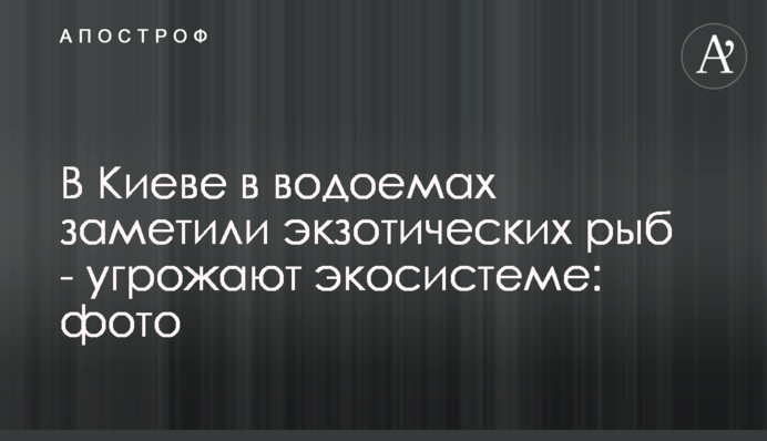 У Києві в водоймах помітили екзотичних риб - загрожують екосистемі: фото