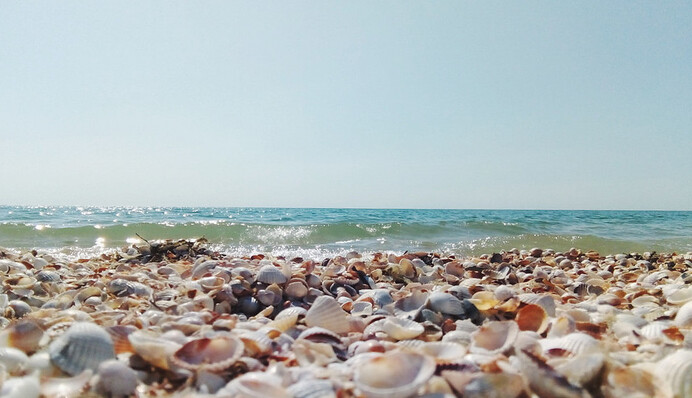 Де відпочити на Чорному морі 2021: кращі місця на будь-який смак і гаманець