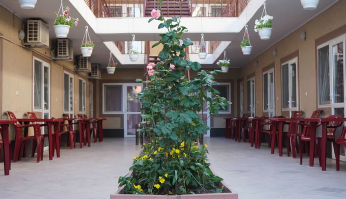 Житло за 70 грн на добу і пляж поруч: де можна дешево відпочити на Чорному морі