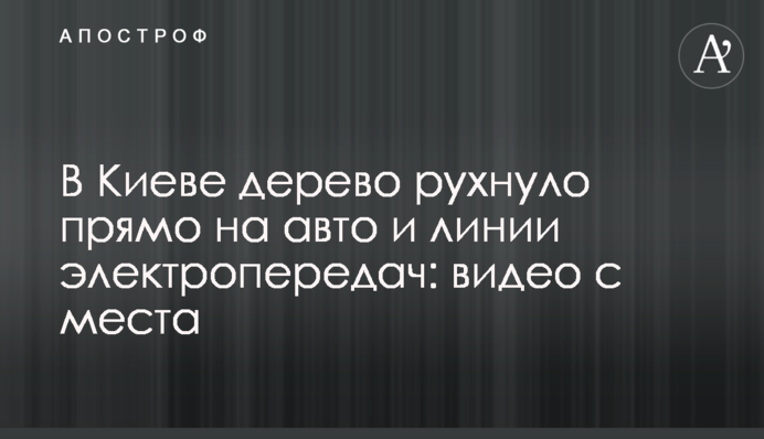 У Києві дерево впало прямо на авто і лінії електропередач: відео з місця