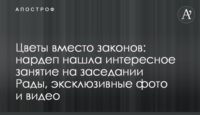 Квіти замість законів: нардеп знайшла цікаве заняття на засіданні Ради, ексклюзивні фото та відео