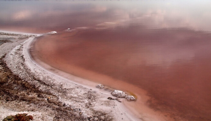 Люди готові лягати під техніку: в Одесі борються за майбутнє знаменитого лиману