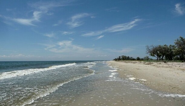 Сказочная природа и доступные цены: как доехать и сколько стоит отдохнуть на Кинбурнской косе