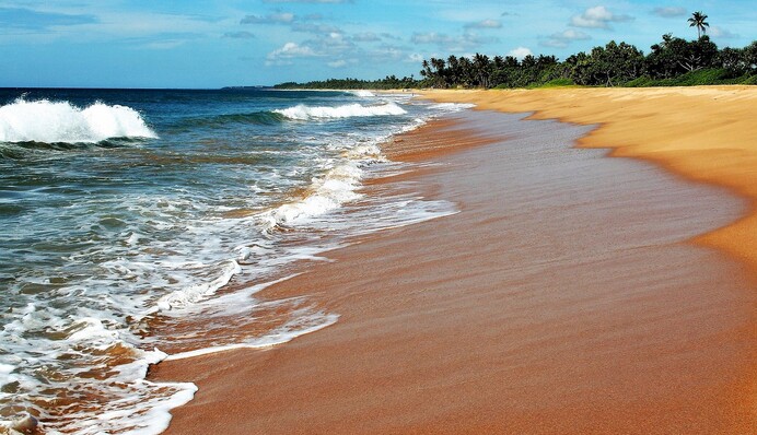 14 дней карантина и необычные экскурсии: каково туристам на Шри-Ланке
