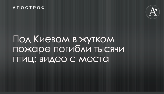 Под Киевом в жутком пожаре погибли тысячи птиц: видео с места