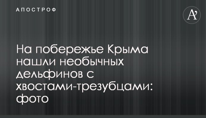 На побережье Крыма нашли необычных дельфинов с хвостами-трезубцами: фото