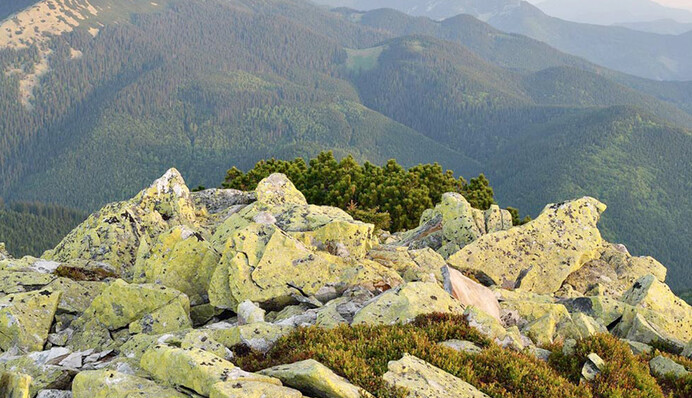 В Карпатах заблудились подростки: в ГСЧС рассказали подробности спасательной операции