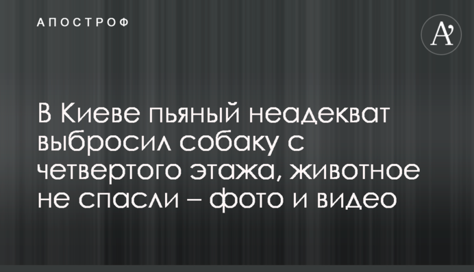 В Киеве пьяный неадекват выбросил собаку с четвертого этажа, животное не спасли  –  фото и видео