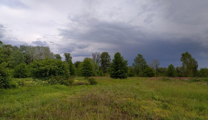 На Украину навигается "адская" погода: где ожидаются грозы и град