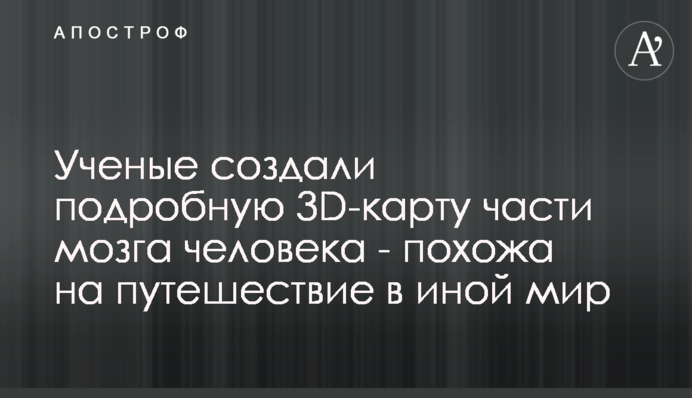 Ученые создали подробную 3D-карту части мозга человека - похожа на путешествие в иной мир