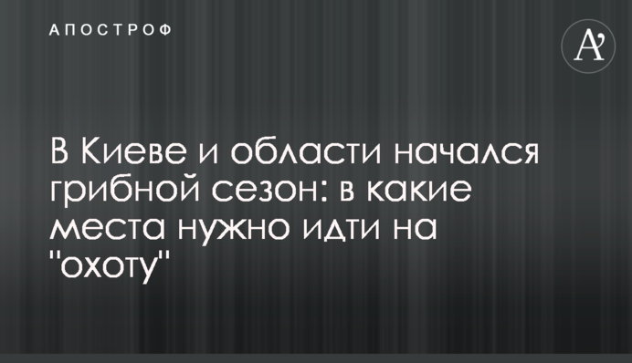 В Киеве и области начался грибной сезон: в какие места нужно идти на 