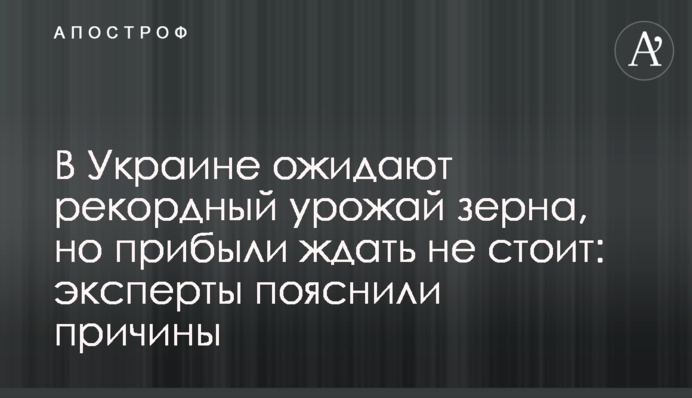 В Украине ожидают рекордный урожай зерна, но прибыли ждать не стоит: эксперты пояснили причины