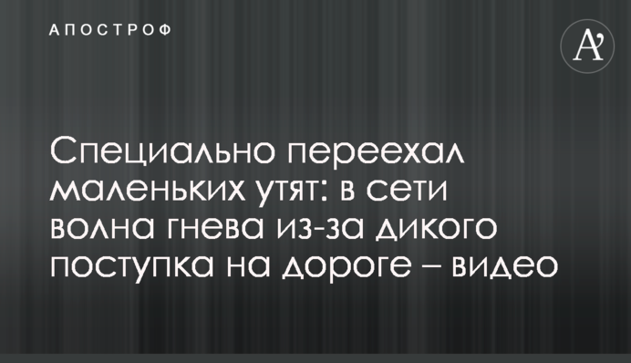 Спеціально переїхав маленьких каченят: в мережі хвиля гніву через дикий вчинок на дорозі - відео