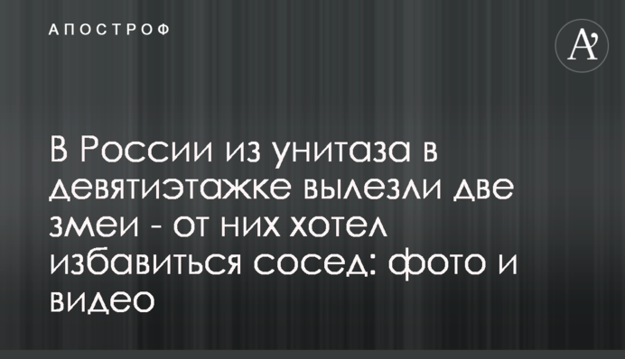 В России из унитаза в девятиэтажке вылезли две змеи - от них хотел избавиться сосед: фото и видео