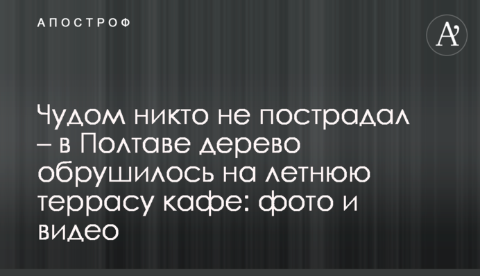 Дивом ніхто не постраждав - в Полтаві дерево впало на літню терасу кафе: фото і відео