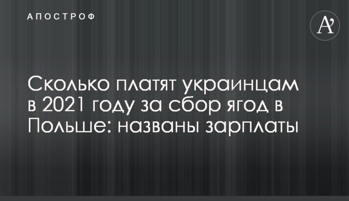 Скільки платять українцям у 2021 році за збір ягід в Польщі: названо зарплати