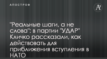 "Реальні кроки, а не слова": у партії "УДАР" Кличка розповіли, як діяти для наближення вступу в НАТО