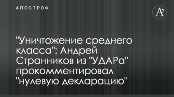 "Уничтожение среднего класса": Андрей Странников из "УДАРа" прокомментировал "нулевую декларацию"