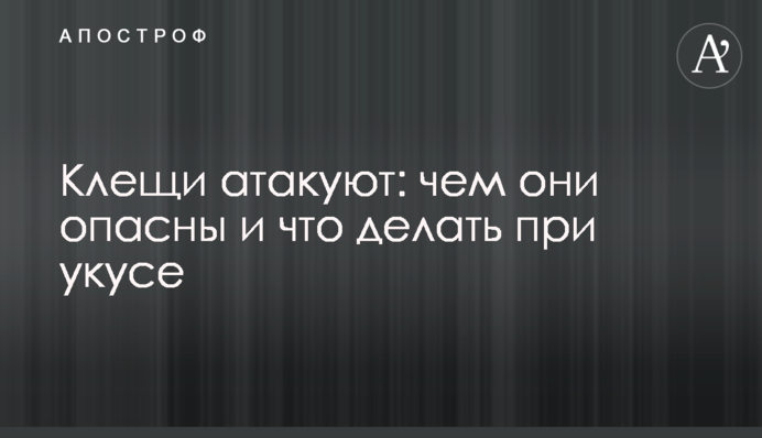 Кліщі атакують: чим вони небезпечні і що робити при укусі