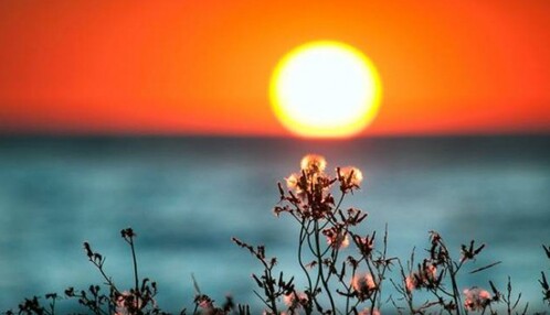 Как не навлечь на себя несчастье в День летнего солнцестояния: список запретов