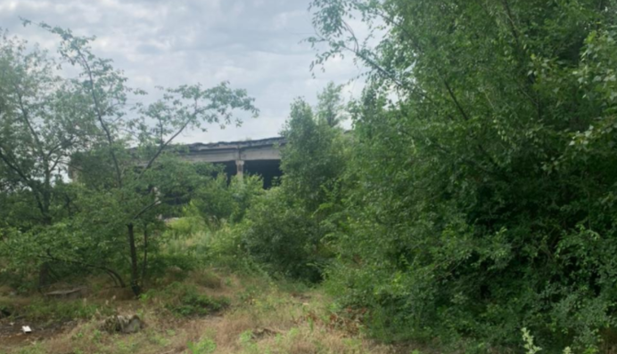 Под Днепром нашли мертвой 15-летнюю девочку - ее искали пять дней: фото