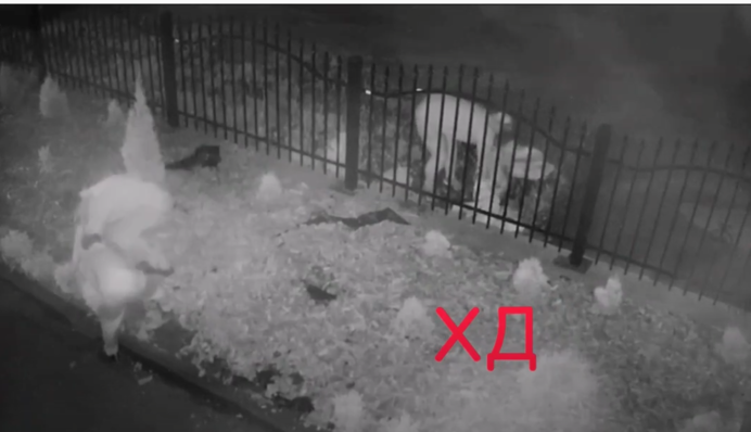 ​Под Днепром женщина перекрестилась и ограбила церковь: видео