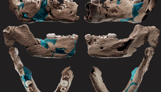 Науковці знайшли загадкові останки стародавньої людини і висунули сенсаційну версію: фото
