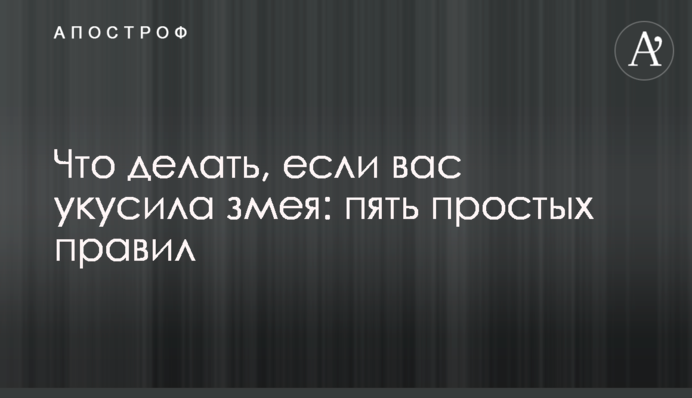 Что делать, если вас укусила змея: пять простых правил