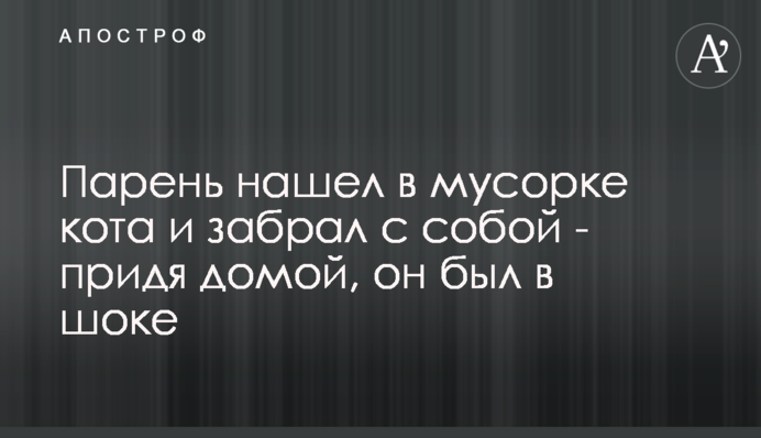 Хлопець знайшов на смітнику кота і забрав з собою - прийшовши додому, він був в шоці